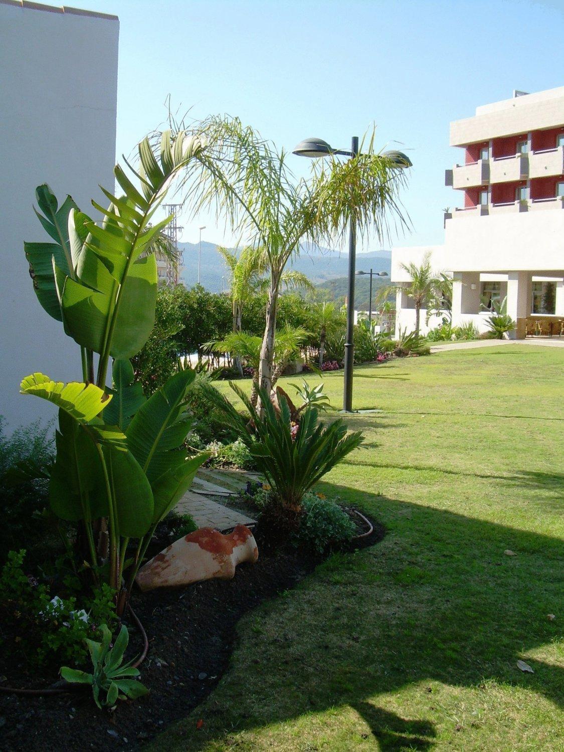 Hotel Montera Plaza Los Barrios Exterior photo